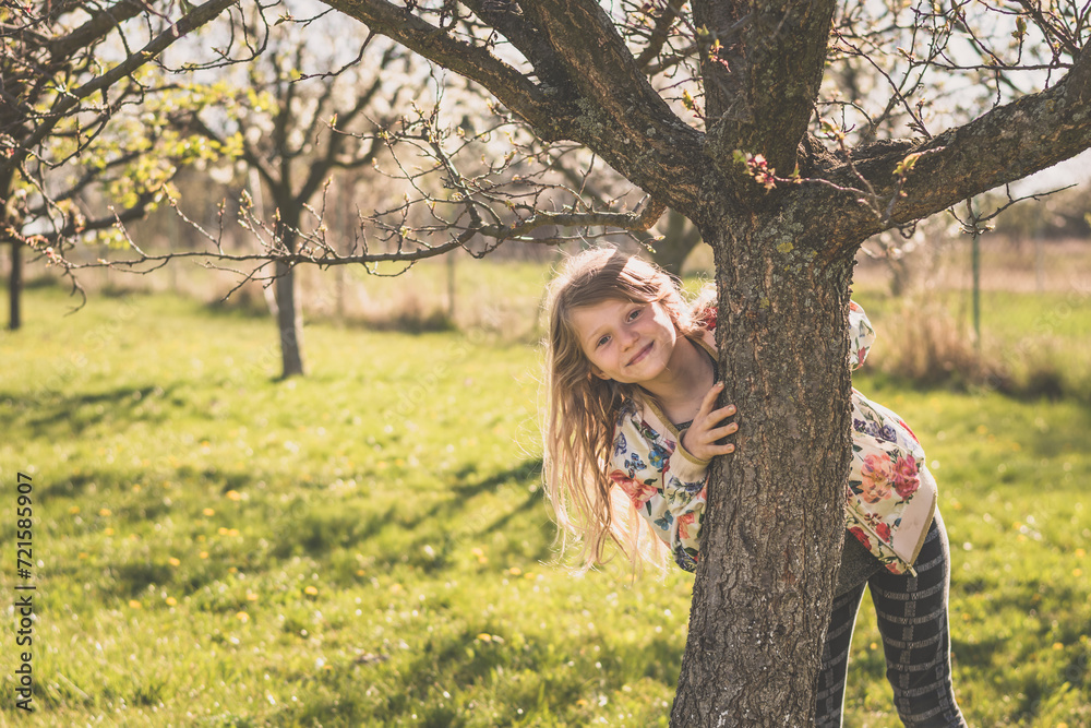 child in spring nature behind the tree trunk child in spring nature behind the tree trunk