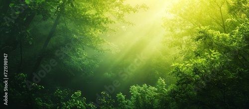 Mesmerizing Green Forest Background Shines in the Summer s Vibrant Green  Forest  and Background Hues