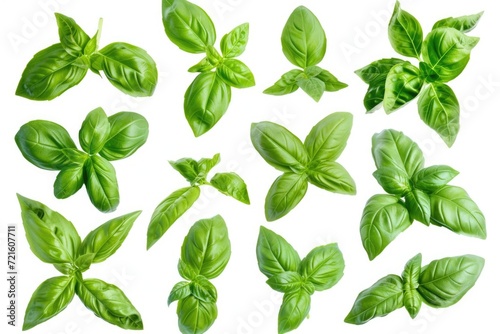 A collection of fresh basil leaves on a clean white background. Perfect for culinary projects and food-related designs