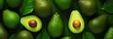 fresh ripe avocados on color background