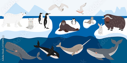 Vector set of wild polar animals, marine mammals and birds. Collection of Arctic animals on ice floes. Cute illustration in hand drawn style. 
