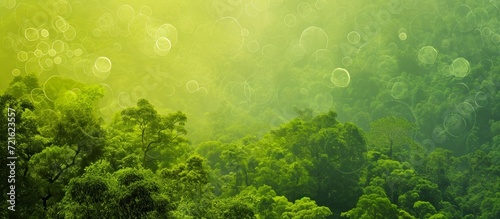 Vivid Green Background with Round Shapes in Dandeli's Serene Natural Surroundings