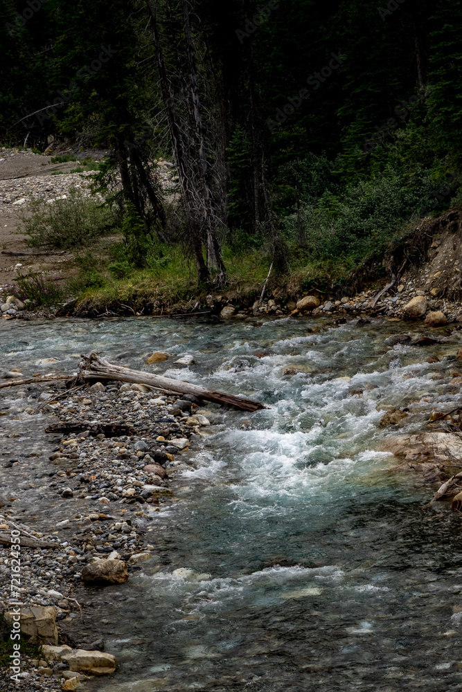 Tokkum Creek Kootenay National Park British Columbia Canada Tokkum Creek Kootenay National Park British Columbia Canada