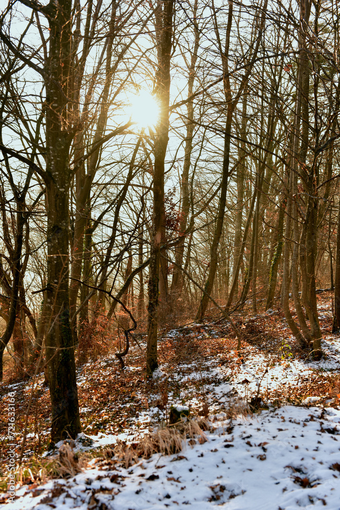 Aktuelle Situation des  Klimawandel in Europa 