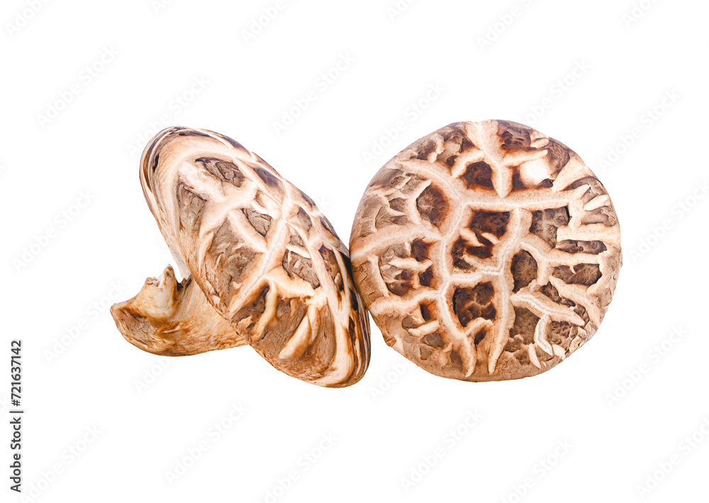 fresh chiitake musroom isolated on transparent png fresh chiitake musroom isolated on transparent png