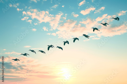 flock of birds flying in formation, representing unity and teamwork © mila103