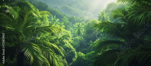 Secluded Palms Overhanging in Lush Jungle Setting