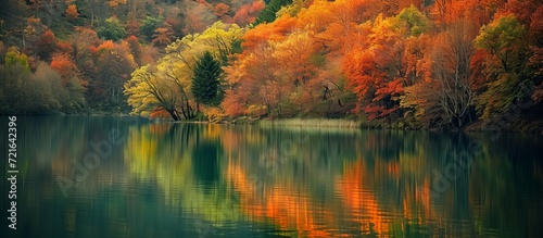 Serene Autumn Reflections: Captivating Scenes by the Lake During Autumn, Autumn, by the Lake