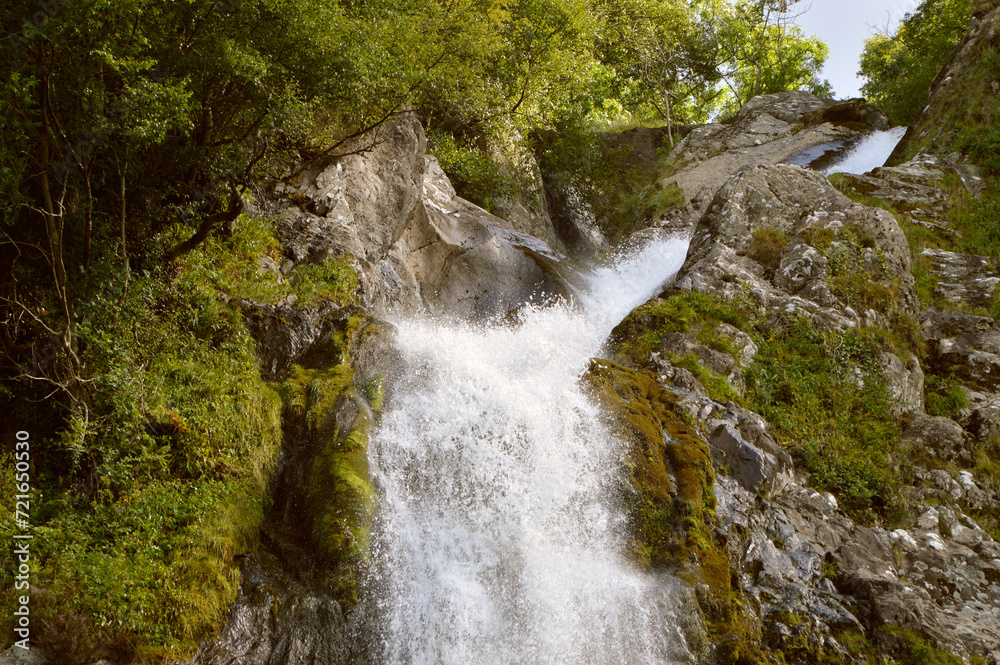 Waterfall in the forest Waterfall in the forest