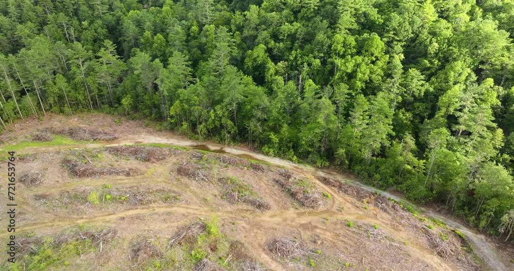 Deforestation bare patches as result of cut down forest trees in North Carolina Appalachian woods. Beautiful wild woodland at threat