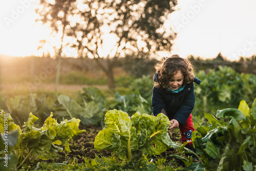 happy little boy digging the soil in the vegetable garden at sunset surrounded by plants