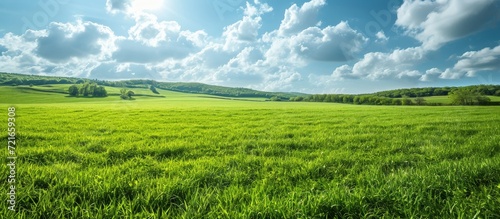 Beautiful Countryside Landscape with Vast Fields of Lush Grass in a Picturesque Countryside Landscape photo