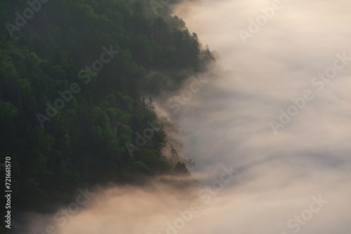 摩周湖の森に霧が覆いかぶさる