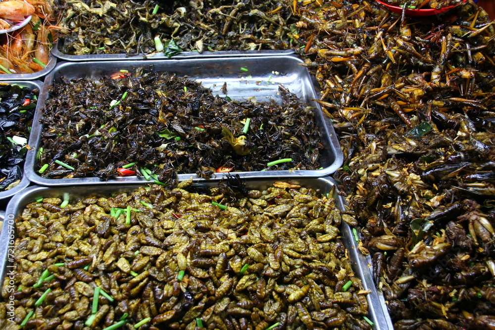 Obraz premium Street Food in Cambodia: Insects, Crickets, Worms (Market Stall in Siem Reap) 