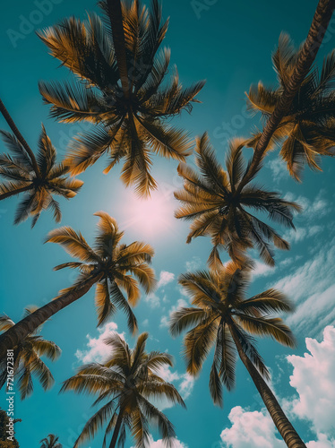 Upward View of Palm Trees with Sunburst and Clear Blue Sky © Sol Revolver Group