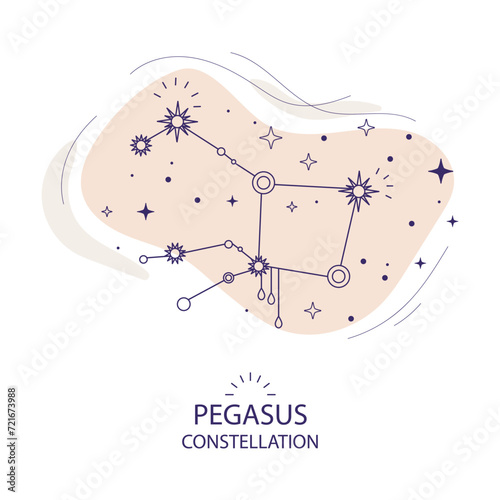 Abstract star constellation Pegasus vector image