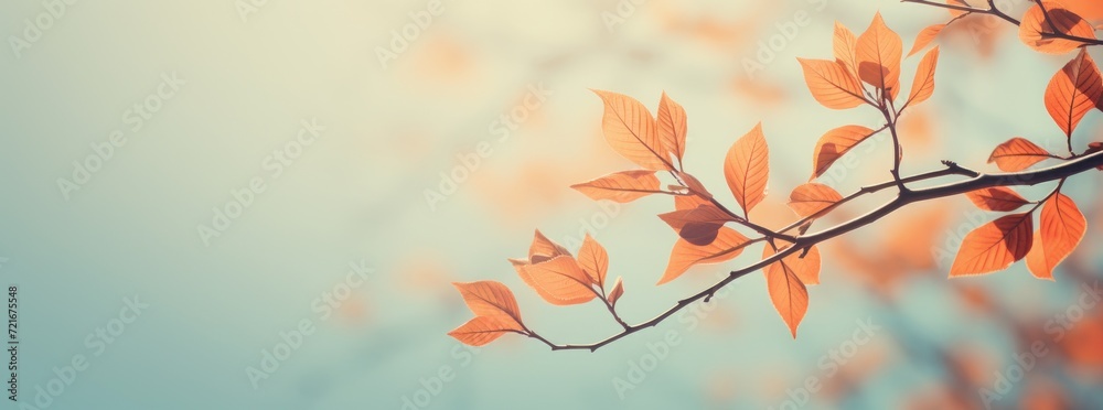 Vibrant Autumn Foliage: Yellow & Orange Leaves on Sunny Park Day. Indian Summer Banner 