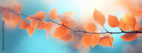 Sun-Kissed Autumn Branch with Vibrant Orange Leaves, Ideal for Fall Designs - Close-Up Photo of a Golden Autumn Branch, Perfect for Seasonal Cards and Invitations - Indian Summer art