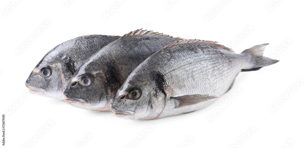 Fototapeta premium Fresh raw dorado fish isolated on white
