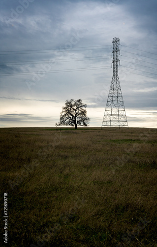 Dramatic image of a silhouette tree and electric power tower in the foothills of Northern California with cloudy. Skies.