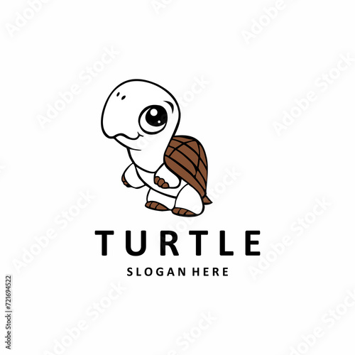 turtle on white background