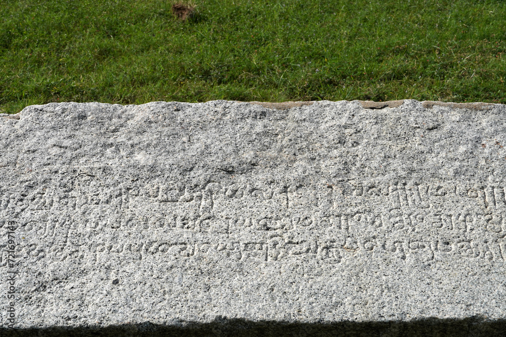 Inscriptions of Tamil language carved on the stone with green grass in