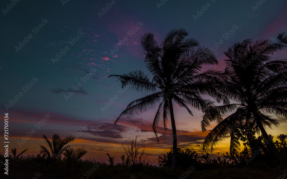 Silhouette of coconut trees at sunset with colorful clouds