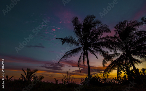 Silhouette of coconut trees at sunset with colorful clouds