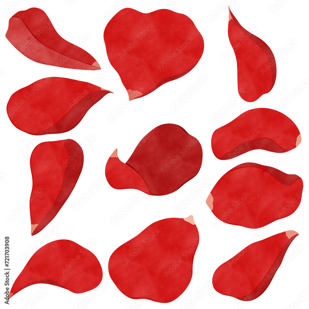 Fototapeta premium Red rose petals drawing