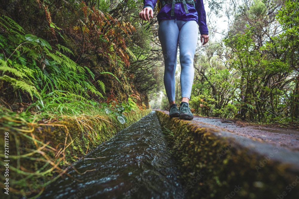 Low angle shot of female tourist with backpack balances on water channel path through a laural forest on a rainy day. 25 Fontes waterfalls, Madeira Island, Portugal, Europe. Low angle shot of female tourist with backpack balances on water channel path through a laural forest on a rainy day. 25 Fontes waterfalls, Madeira Island, Portugal, Europe.