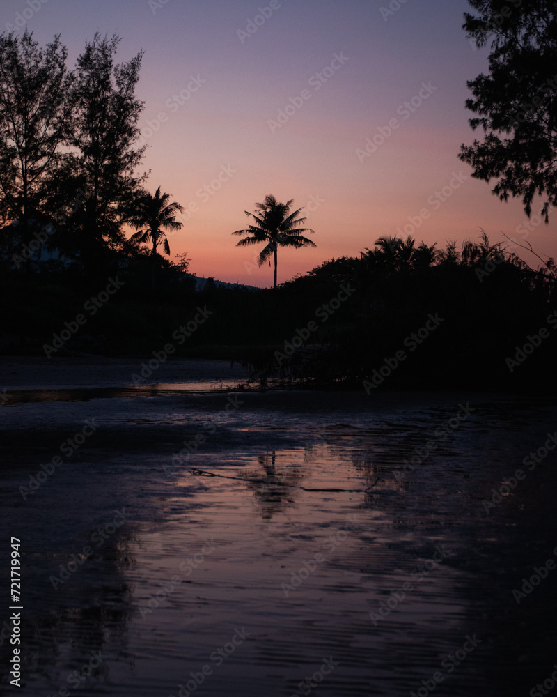 Tropical trees silhouetted at sunset