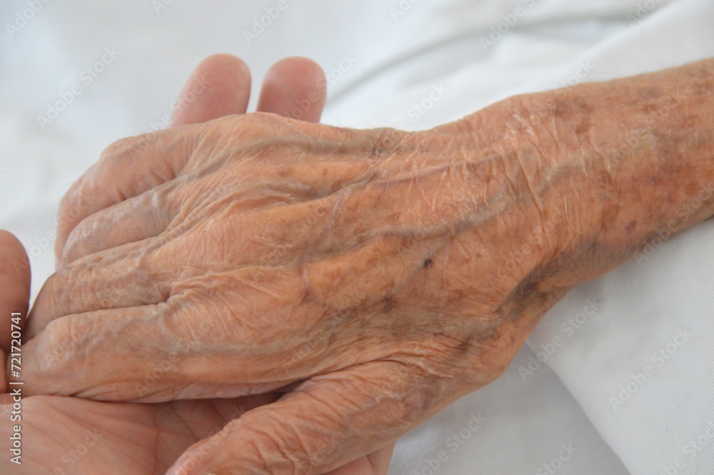 Fototapeta premium hands of person