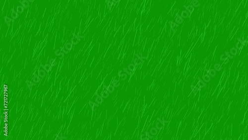 Rain fall  video