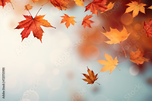 Falling autumn maple leaves natural background .Colorful foliage