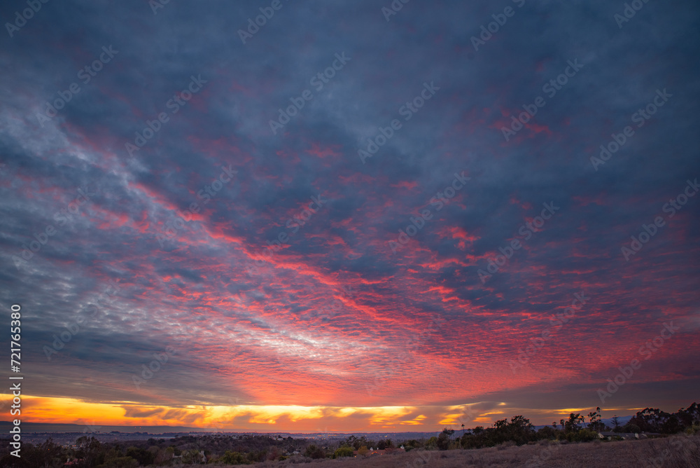 Brilliant, Layered, Pink, Blue, Sunset, Large Oak Tree, San Marcos Preserve, Santa Barbara, California