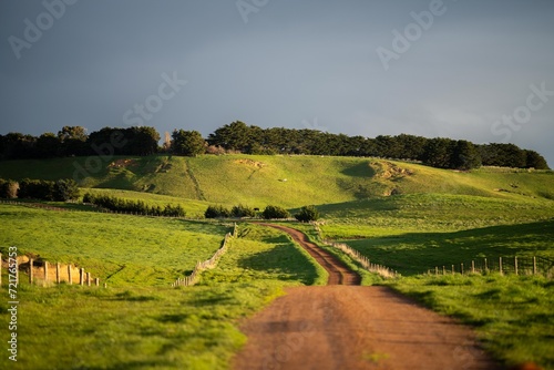 laneway on a livestock farm in a gateway on a agriculure farm in austrlian in spring in australia photo
