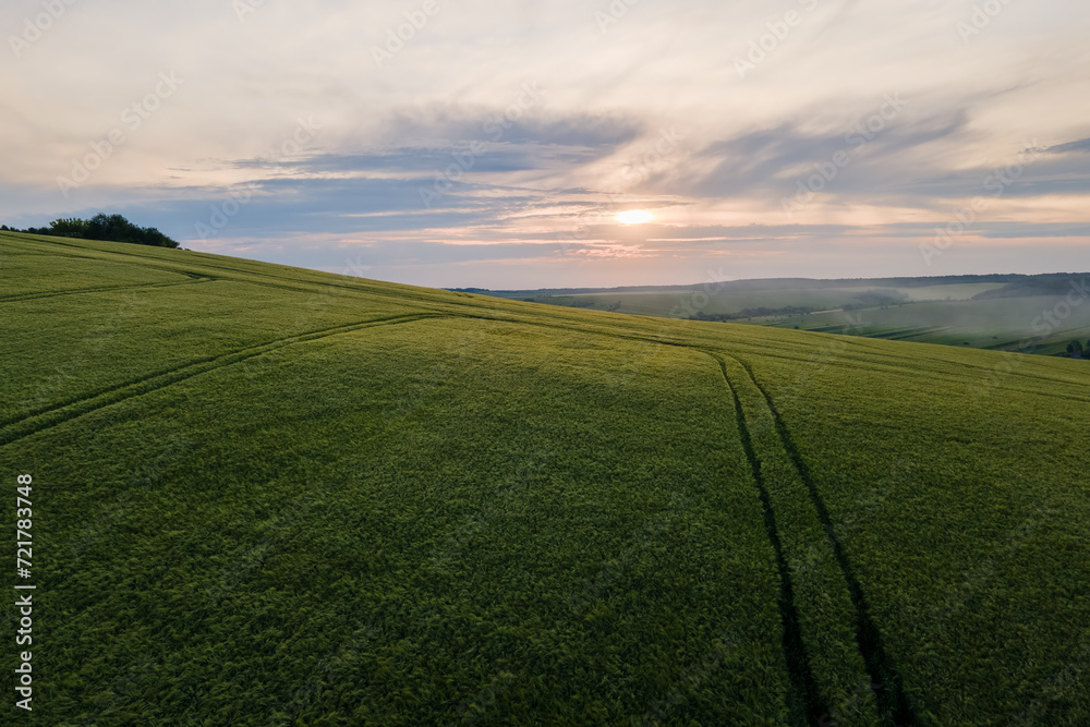 Fototapeta premium Aerial landscape of green farmland in summer season with growing crops. Agricultural cultivated field. Farming and agriculture industry