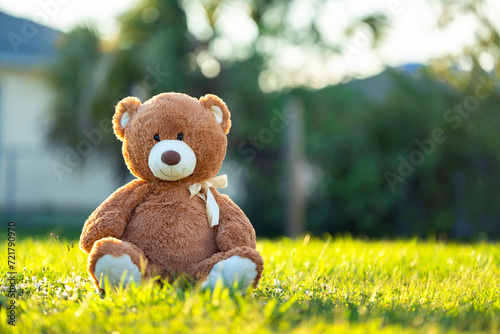 Concept of childhood. Big plush teddy bear sitting alone on green grass lawn in summer photo