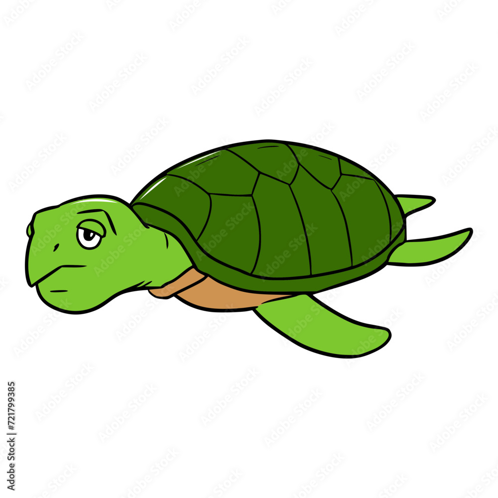 turtle illustration isolated vector turtle illustration isolated vector