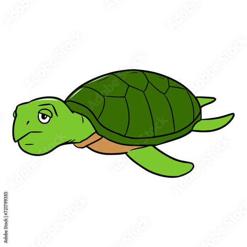 turtle illustration isolated vector