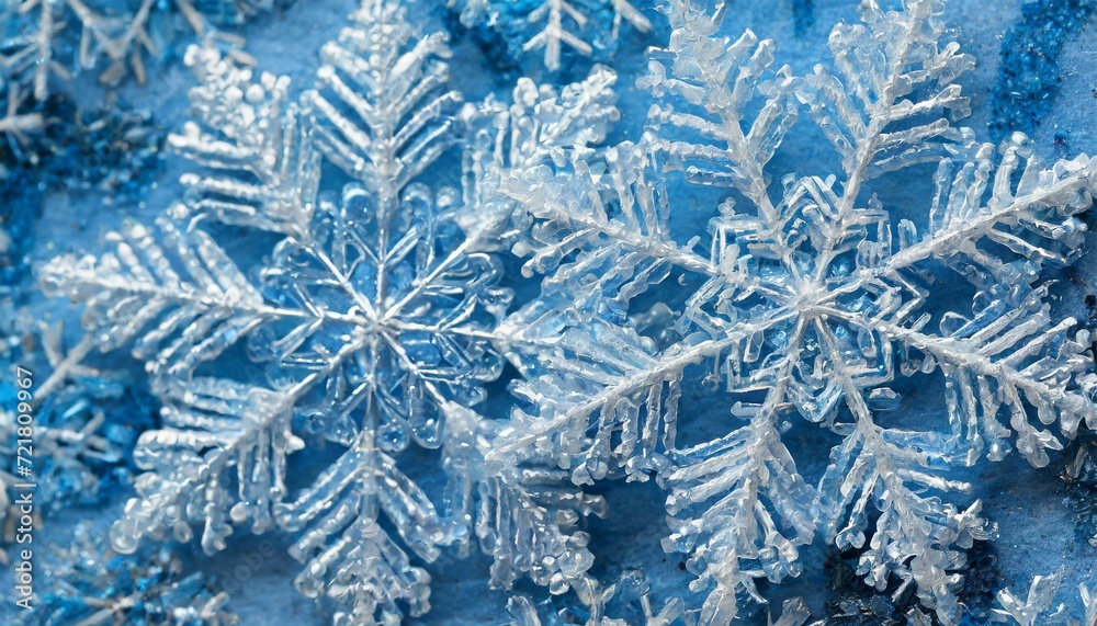 雪の欠片 雪の欠片