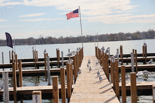 Wooden dock in the Marina over the lake in the winter. Taken over by seagulls.   © Jessica Brouillette
