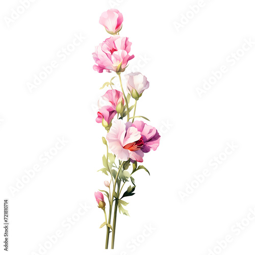 Birth Month Flowers April Sweet Pea transparent background PNG