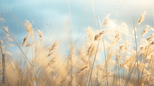 Wild grass in a macro image, showcasing a shallow depth of field. Abstract summer nature background with clear skies and sunlight. Generative AI.