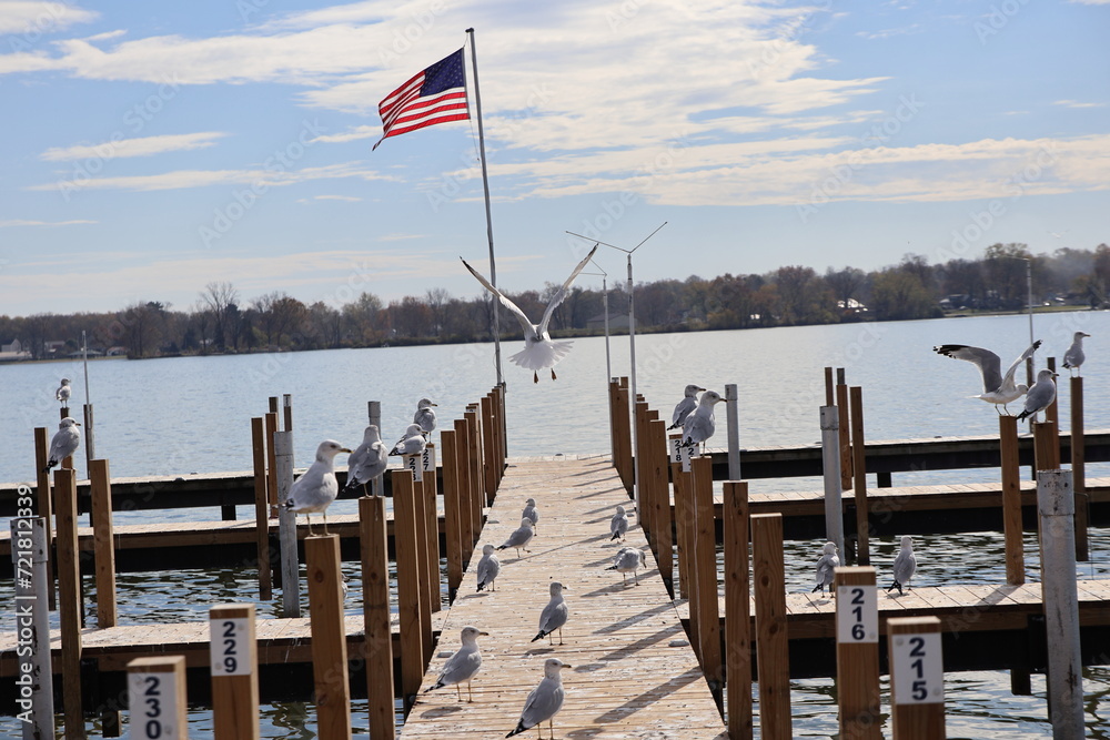 Wooden dock in the Marina over the lake in the winter. Taken over by seagulls. 
