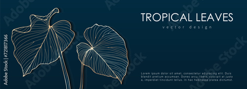 Dark luxury tropical design with golden tropical leaf outlines. Botanical background, wallpaper, postcard, cover design
