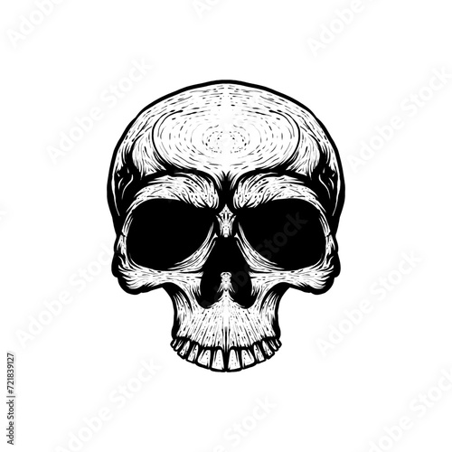 human skull (ID: 721839127)