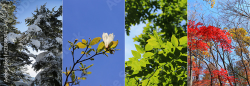 Collage image of four seasons