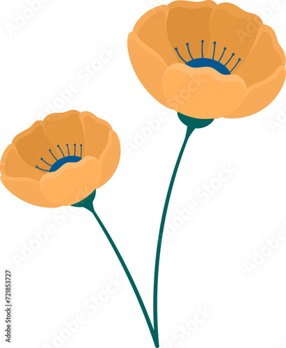 plant illustration, orange petaled flowers blooming beautifully