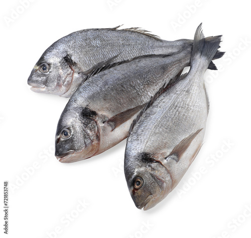 Fresh raw dorado fish isolated on white